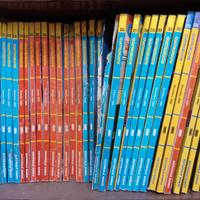 QUATTRORUOTE ,CASAVIVA, Ville e Casali, MAX