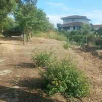 Terreno edificabile con progetto approvato