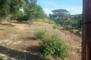 Terreno edificabile con progetto approvato