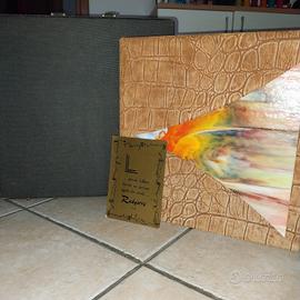 album fotografico  di design" Rudyerre -Line"