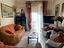 Immagine 24