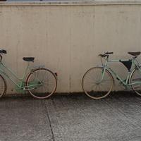 Bici Ciclo Piave