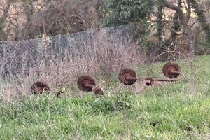 Ranghinatore a Stelle 