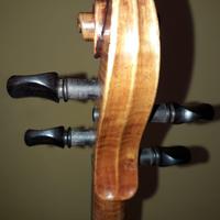 Violino