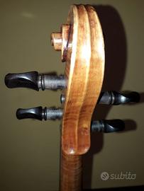 Violino