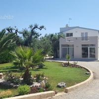 Disponibile da settembre a giugno