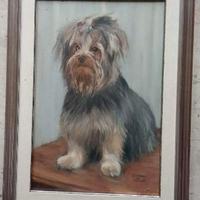 Ritratto di cane yorkshire , olio su tela