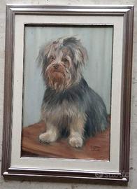 Ritratto di cane yorkshire , olio su tela