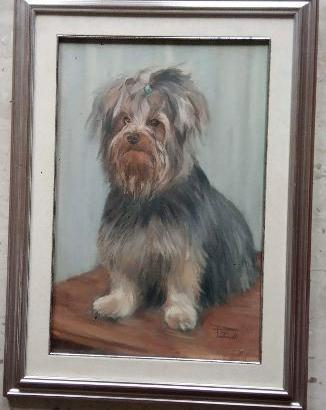Ritratto di cane yorkshire , olio su tela