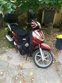 Sh 300 I 2009