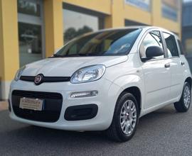 Fiat Panda Benzina cc. 1.242 5 Porte 5 Posti SOLO 