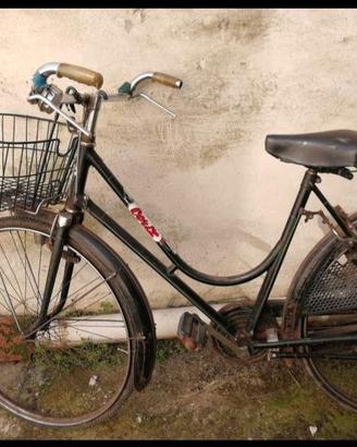 Bicicletta olandese 