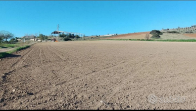 Terreno agricolo