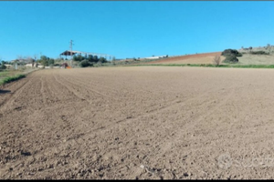Terreno agricolo