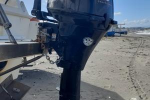 Motore Mercury 4 tempi 20 cv