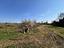 Immagine 7