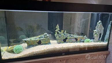 acquario