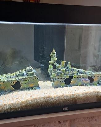 acquario