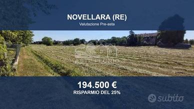 Immobile in asta di 37388 m² a Novellara