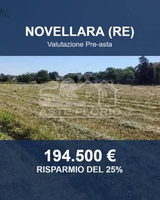 Immobile in asta di 37388 m² a Novellara
