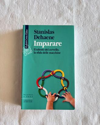 Imparare. Il talento del cervello