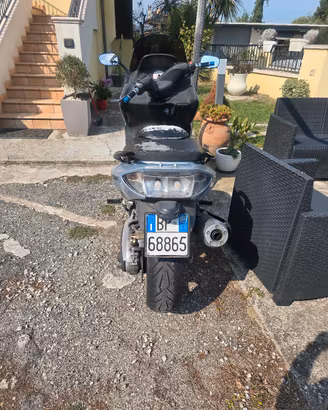 scuter  T max 
