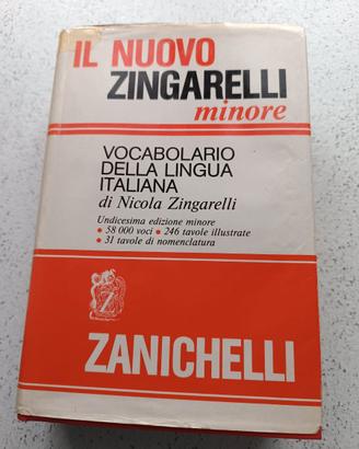 Il nuovo Zingarelli minore, Zanichelli, vocabolari