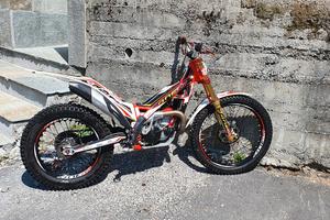 trs Gold 300 r 2021