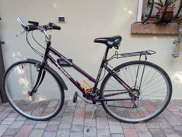 Bicicletta da città 