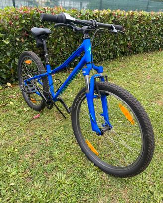Specialized Bambino