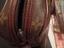 Immagine 5