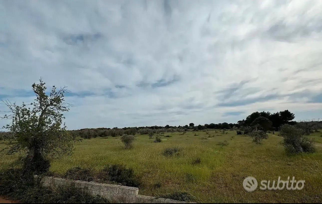 Terreno agricolo con progetto - Vista 3