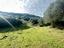 Immagine 22