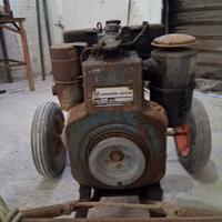 Motopompa professionale