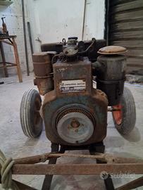 Motopompa professionale