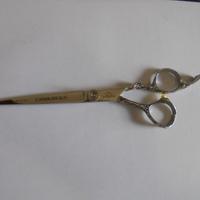 Forbice barbiere o parrucchiere