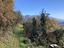 Immagine 11