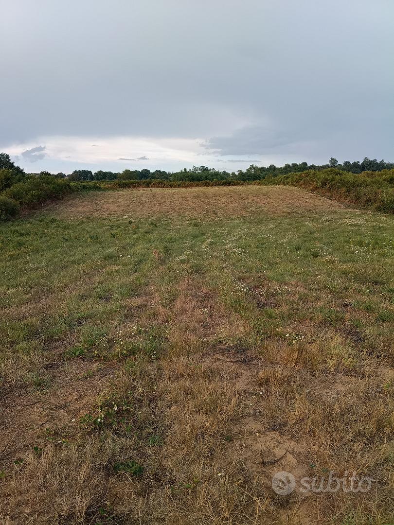 Terreno agricolo localita' Santa Maria Inferiore - Vista 3