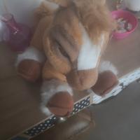 toffee cavallino peluche interattivo 