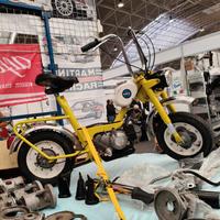 ciclomotore Benelli Motorella 