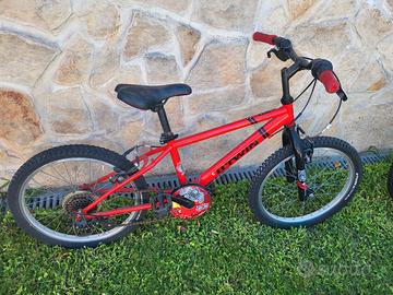 Bicicletta da bambino