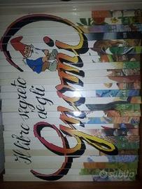 Collezione completa Il libro segreto degli gnomi