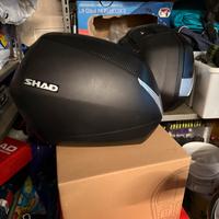 Borse shad con staffe per mt-09