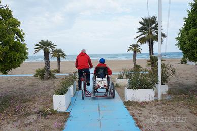 bici elettrica appl. sidecar per sedia a rotelle  