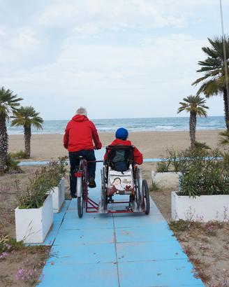 bici elettrica appl. sidecar per sedia a rotelle  