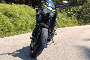 Z_650
