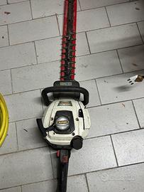 Decespugliatore a motore