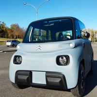AMI CITROEN PERFETTA