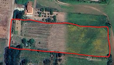 Terreno agricolo con casaletto