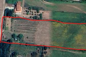 Terreno agricolo con casaletto